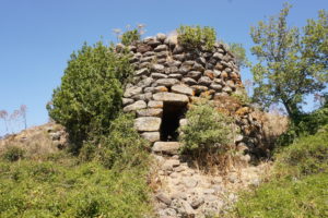 DSC02985