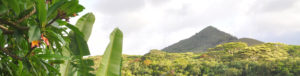 Header Methoden