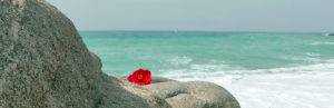 Sardinien Meer Ausschnitt